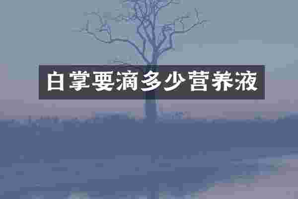 白掌要滴多少营养液