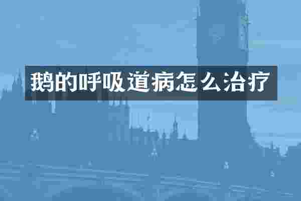 鹅的呼吸道病怎么治疗