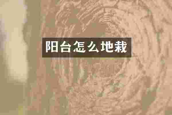 阳台怎么地栽