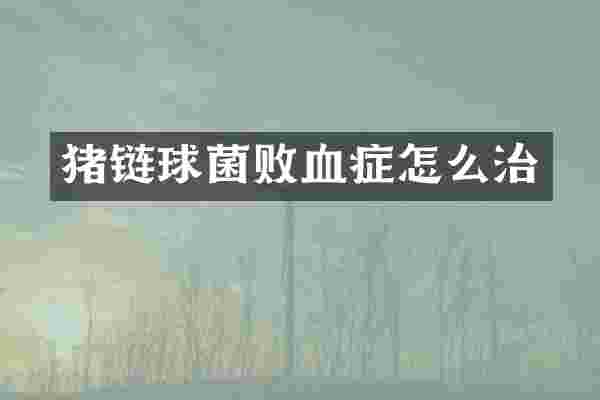 猪链球菌败血症怎么治