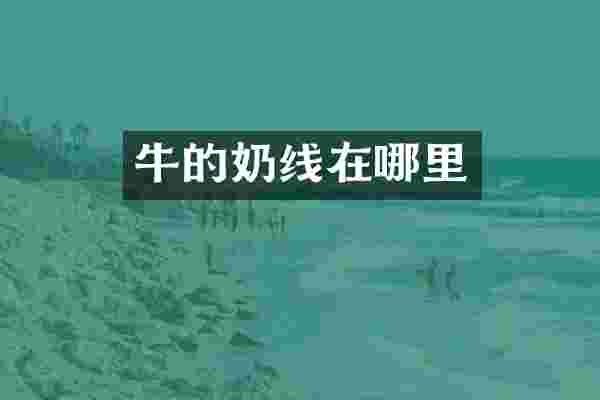 牛的奶线在哪里