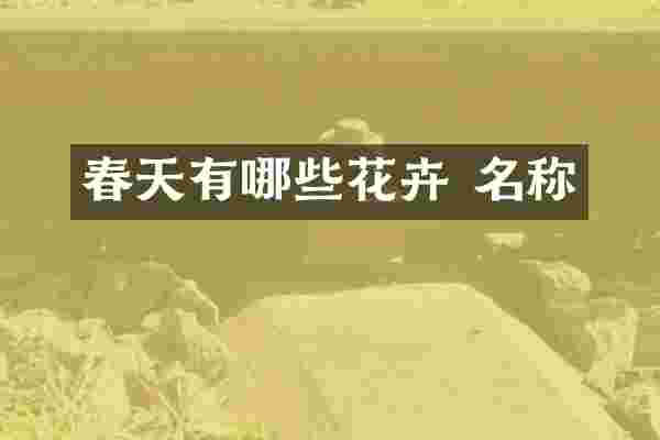 春天有哪些花卉 名称