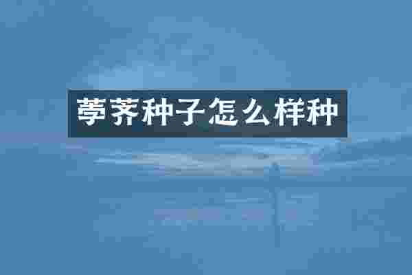 荸荠种子怎么样种