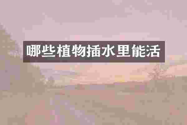 哪些植物插水里能活