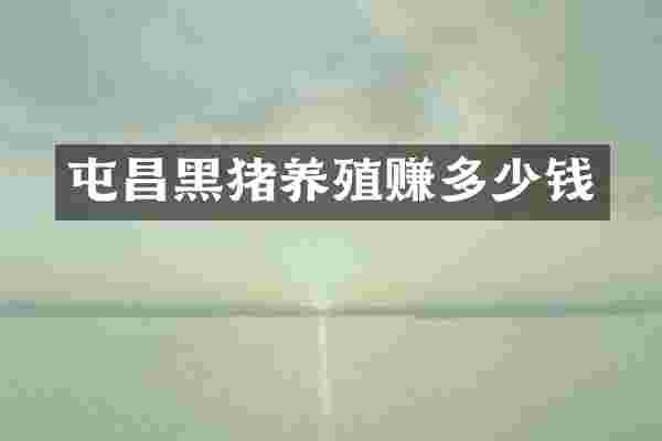 屯昌黑猪养殖赚多少钱