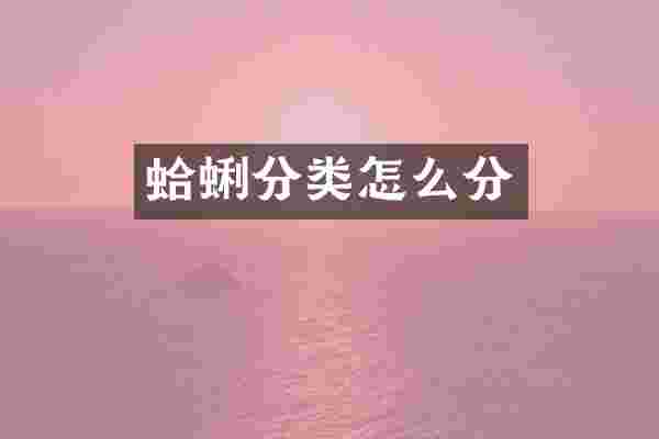 蛤蜊分类怎么分