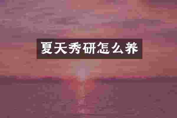 夏天秀研怎么养