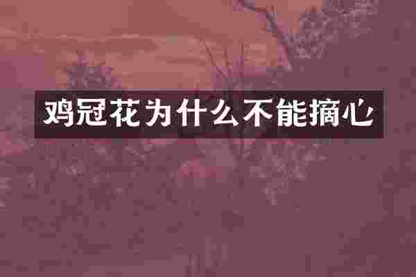 鸡冠花为什么不能摘心