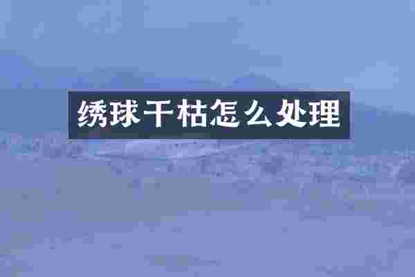 绣球干枯怎么处理