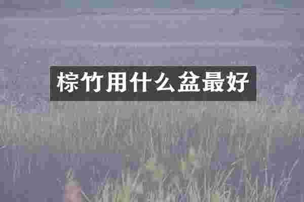 棕竹用什么盆最好