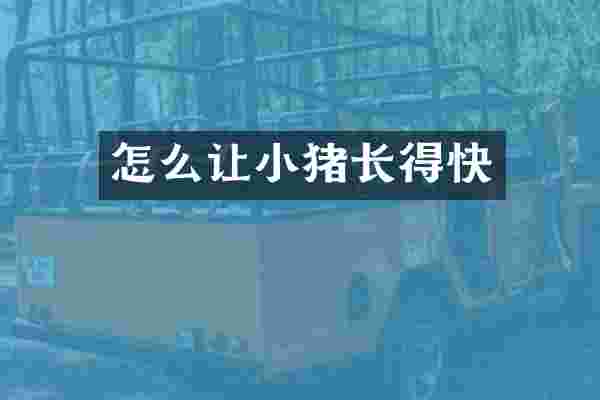 怎么让小猪长得快