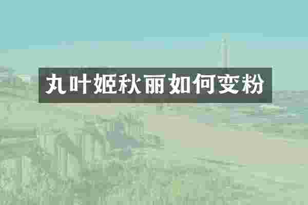 丸叶姬秋丽如何变粉