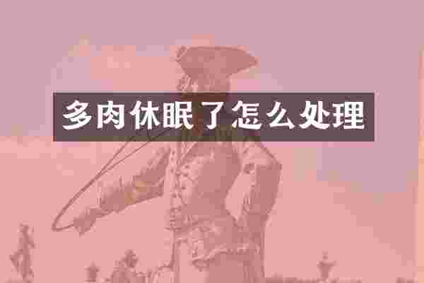 多肉休眠了怎么处理