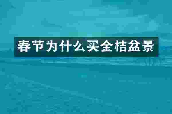 春节为什么买金桔盆景