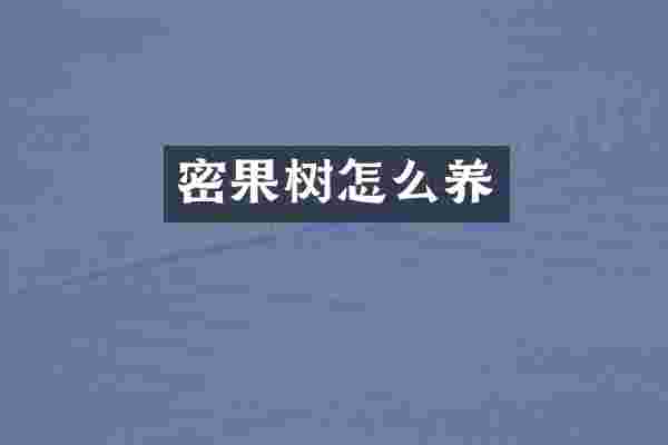 密果树怎么养