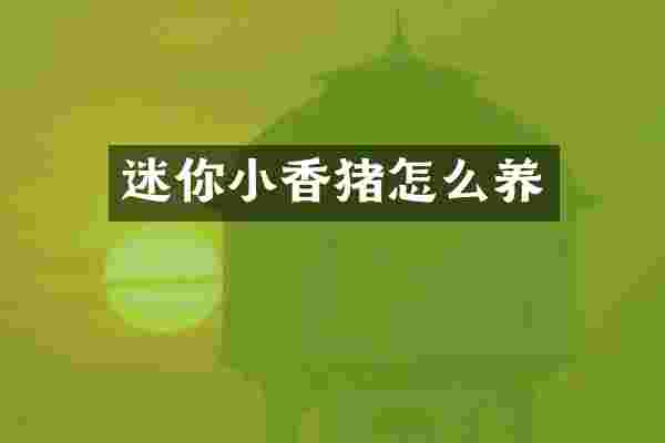 迷你小香猪怎么养