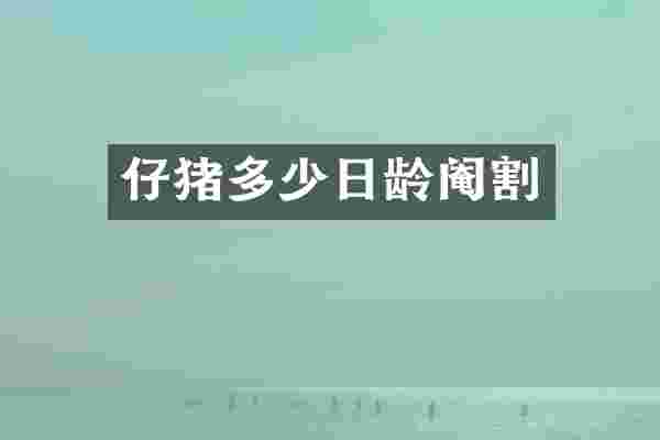 仔猪多少日龄阉割