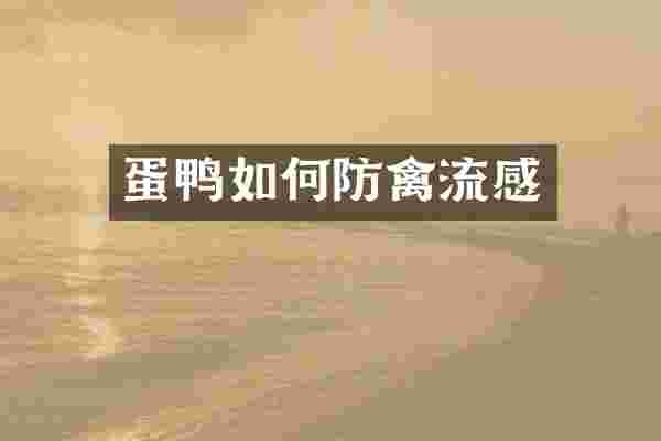 蛋鸭如何防禽流感