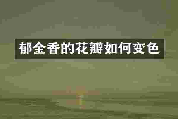 郁金香的花瓣如何变色