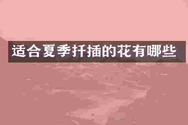 适合夏季扦插的花有哪些