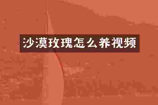 沙漠玫瑰怎么养视频