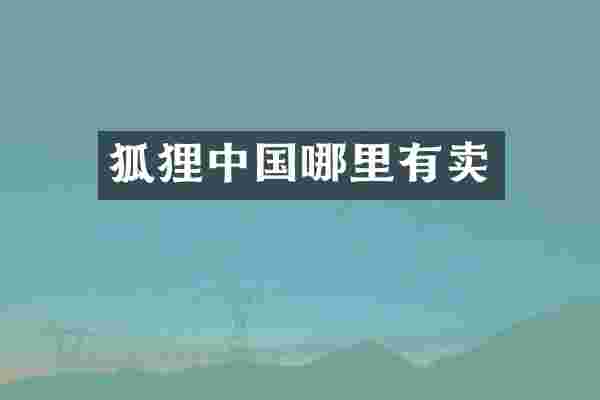 狐狸中国哪里有卖