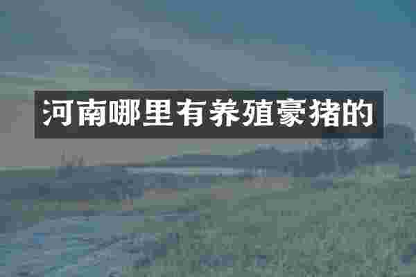 河南哪里有养殖豪猪的