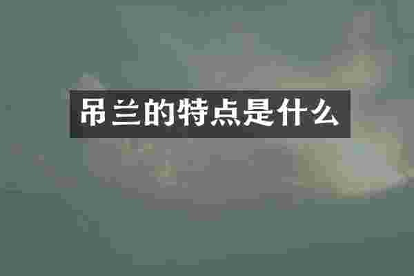 吊兰的特点是什么