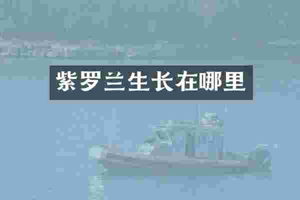 紫罗兰生长在哪里