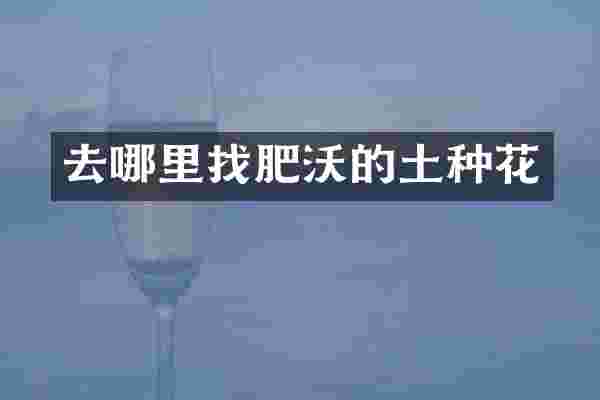去哪里找肥沃的土种花