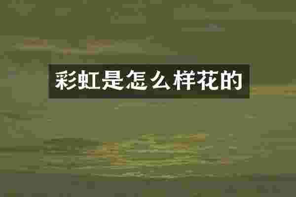 彩虹是怎么样花的