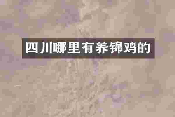 四川哪里有养锦鸡的