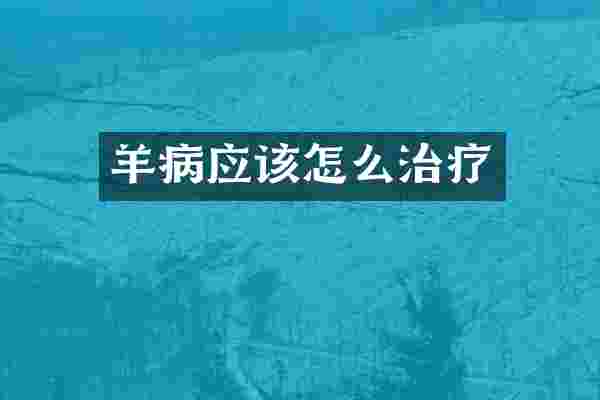 羊病应该怎么治疗