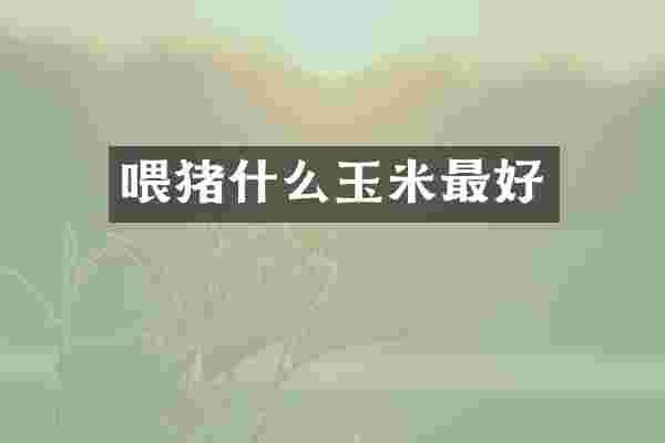 喂猪什么玉米最好