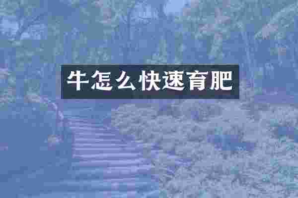 牛怎么快速育肥
