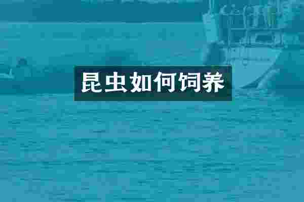 昆虫如何饲养