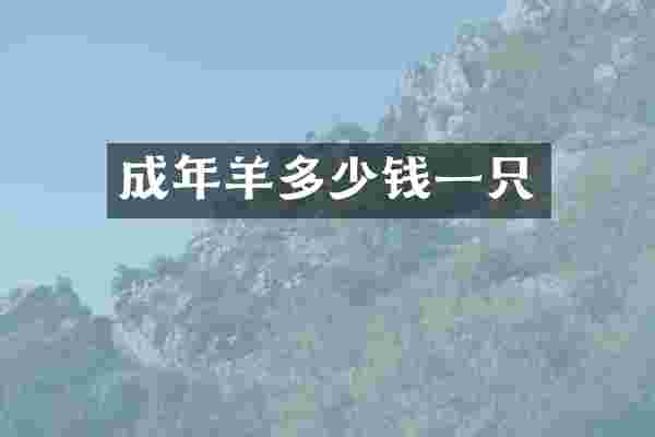成年羊多少钱一只
