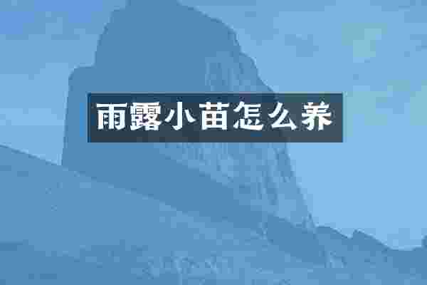 雨露小苗怎么养