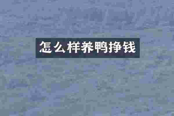 怎么样养鸭挣钱