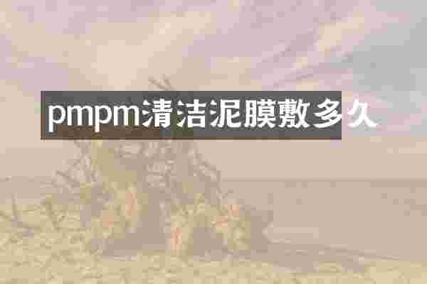 pmpm清洁泥膜敷多久