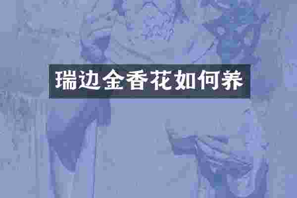 瑞边金香花如何养