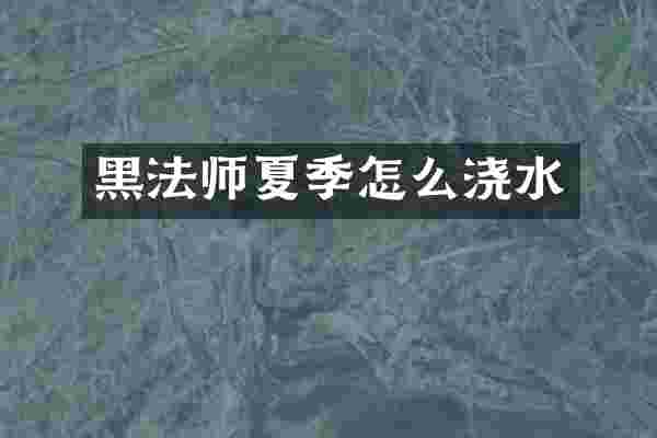 黑法师夏季怎么浇水