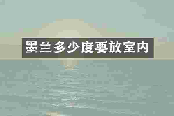 墨兰多少度要放室内