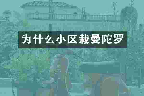 为什么小区栽曼陀罗