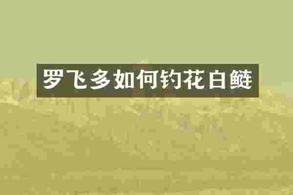 罗飞多如何钓花白鲢