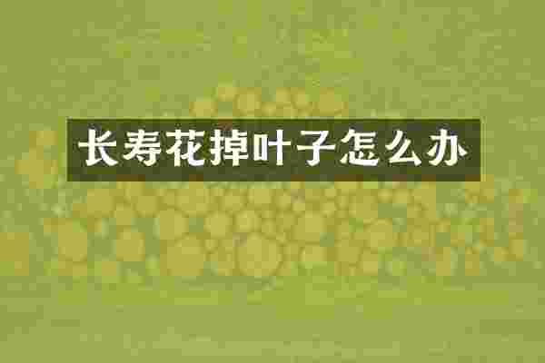 长寿花掉叶子怎么办