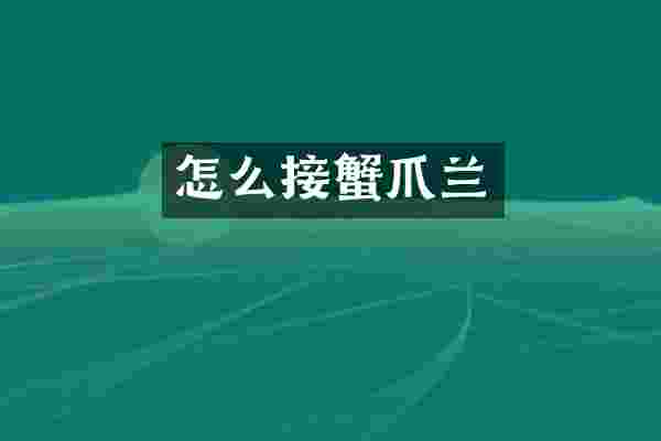 怎么接蟹爪兰