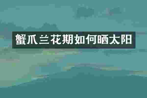 蟹爪兰花期如何晒太阳
