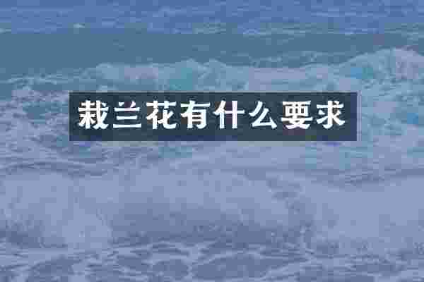 栽兰花有什么要求