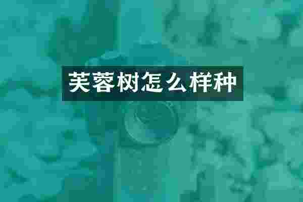 芙蓉树怎么样种